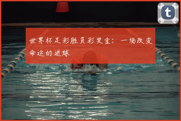 世界杯足彩胜负彩奖金:一场改变命运的进球