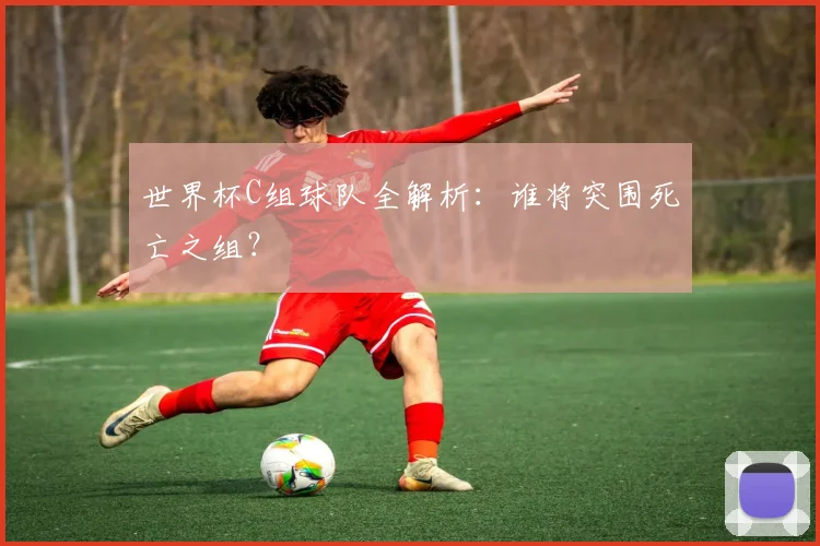 世界杯C组球队全解析:谁将突围死亡之组?